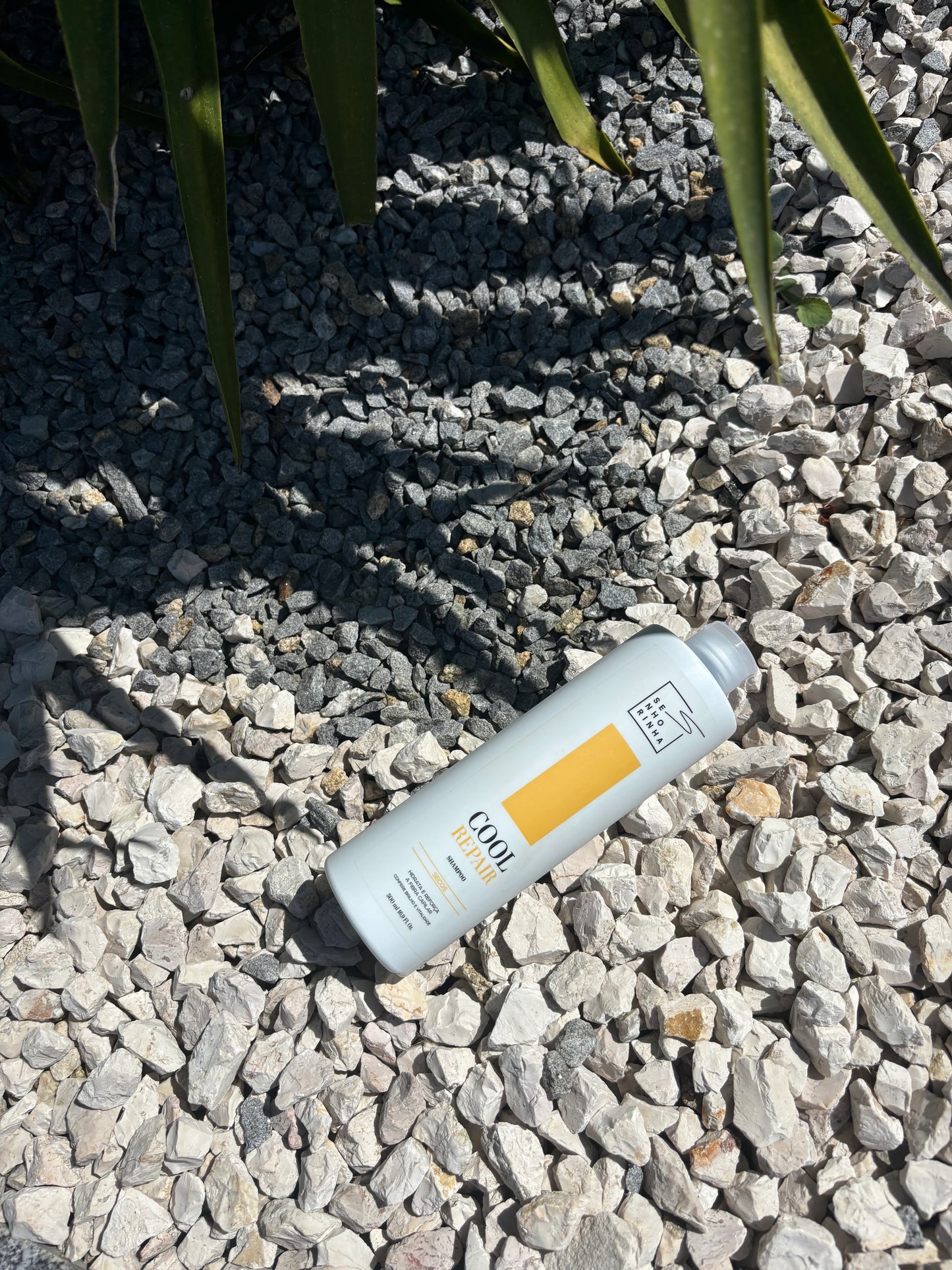 Box cheveux secs et abîmés